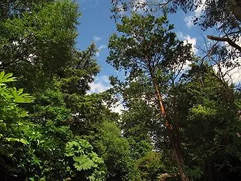 Mangerton Mountain